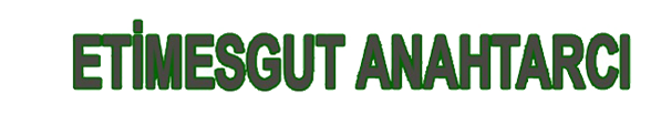 Ankara Oto Anahtar, Etimesgut Yücel Oto Anahtar Çilingir  0555 994 30 66